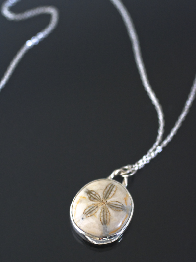 Sand Dollar Fossil Silver Necklace