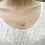 Sand Dollar Fossil Silver Necklace
