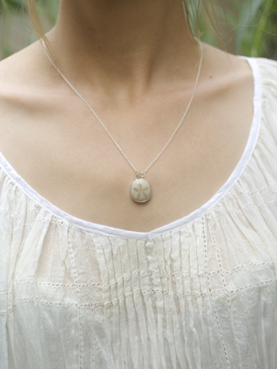 Sand Dollar Fossil Silver Necklace