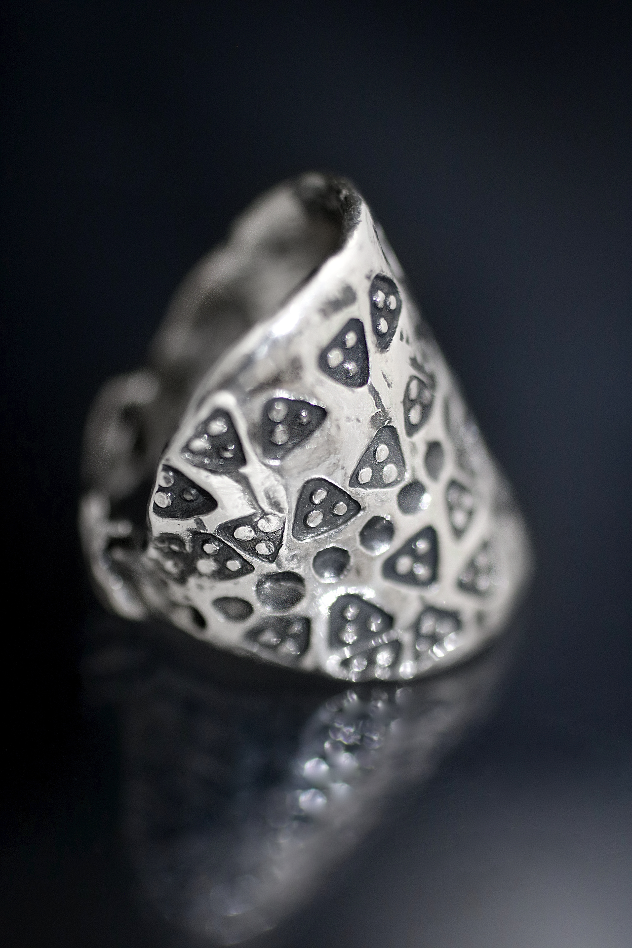 Viking Silver Shield Ring - Miche McClendon