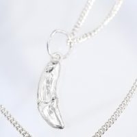 Silver Wolf Fang Necklace