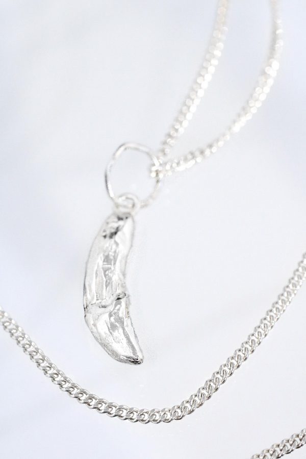 Silver Wolf Fang Necklace