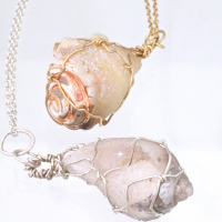 Sea Shell Fossil Wrapped Gold Necklace