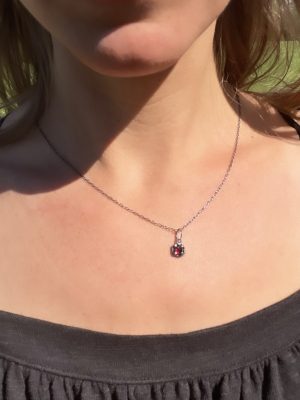 Silver Claw Garnet Necklace