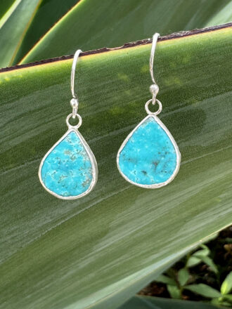 Silver Turquoise Drop Dunes Earrings