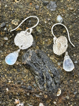 Sunny Silver Coin Rainbow Moonstone Earrings