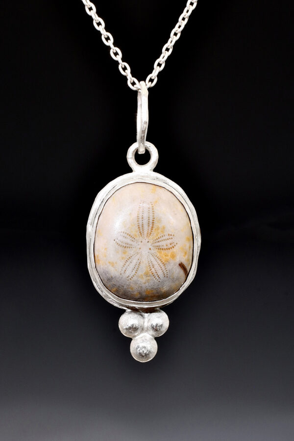 Little Fossilized Sand Dollar Silver Necklace