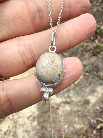 Little Fossilized Sand Dollar Silver Necklace