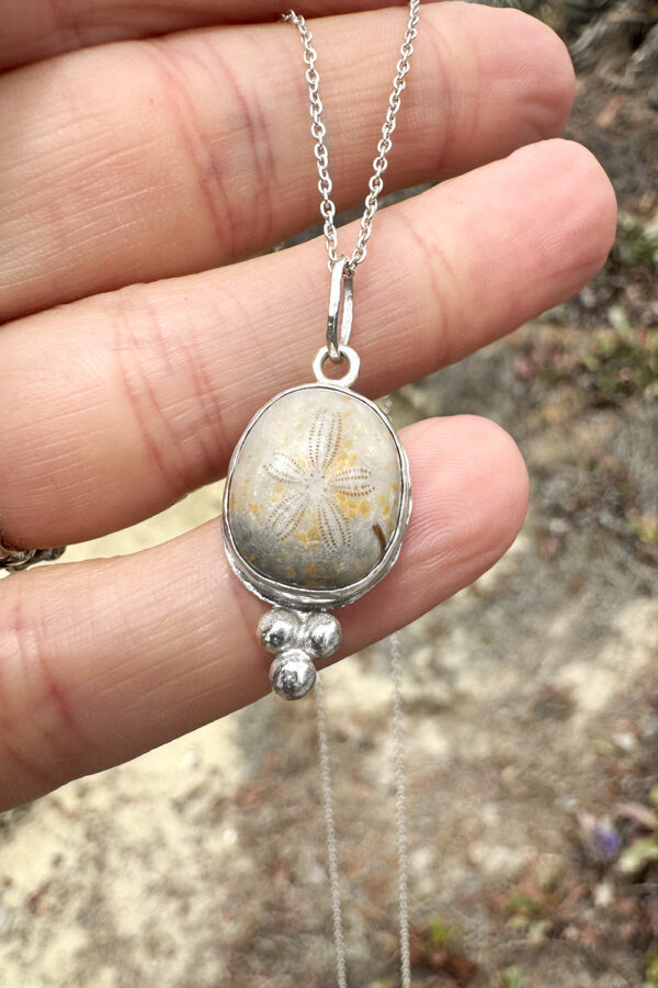 Little Fossilized Sand Dollar Silver Necklace