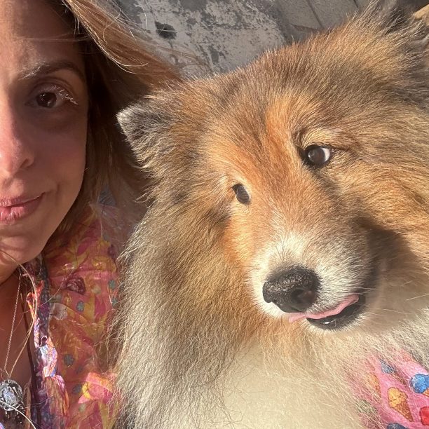 bio picture with sheltie